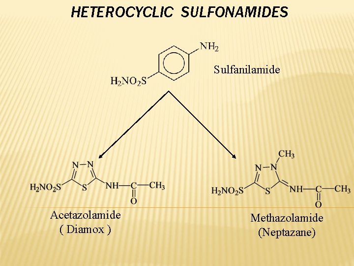 HETEROCYCLIC SULFONAMIDES Sulfanilamide Acetazolamide ( Diamox ) Methazolamide (Neptazane) 