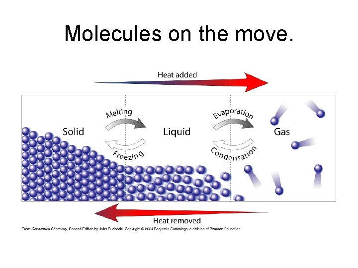 Molecules on the move. 