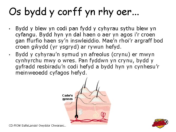 Os bydd y corff yn rhy oer. . . Bydd y blew yn codi