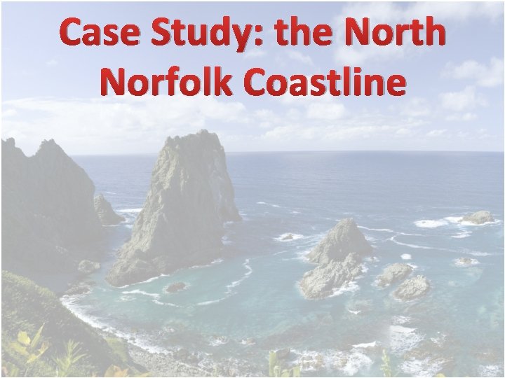 Case Study: the North Norfolk Coastline 