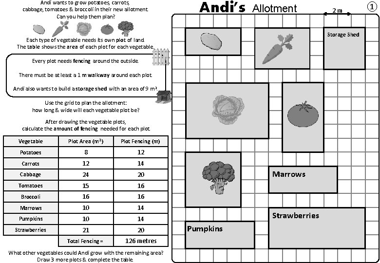 Andi wants to grow potatoes, carrots, cabbage, tomatoes & broccoli in their new allotment.