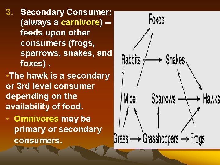 3. Secondary Consumer: (always a carnivore) -feeds upon other consumers (frogs, sparrows, snakes, and 3. Secondary Consumer: (always a carnivore) -feeds upon other consumers (frogs, sparrows, snakes, and