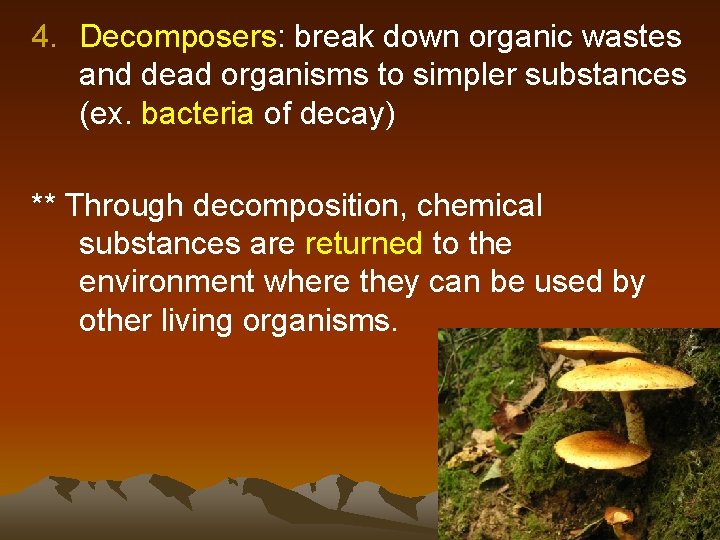 4. Decomposers: break down organic wastes and dead organisms to simpler substances (ex. bacteria 4. Decomposers: break down organic wastes and dead organisms to simpler substances (ex. bacteria