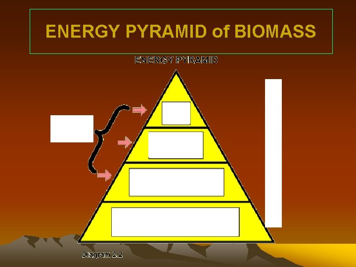 ENERGY PYRAMID of BIOMASS ENERGY PYRAMID of BIOMASS