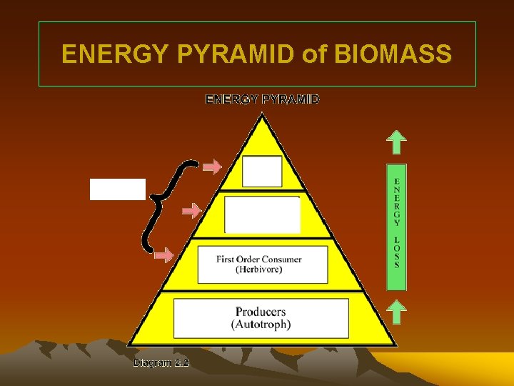 ENERGY PYRAMID of BIOMASS ENERGY PYRAMID of BIOMASS