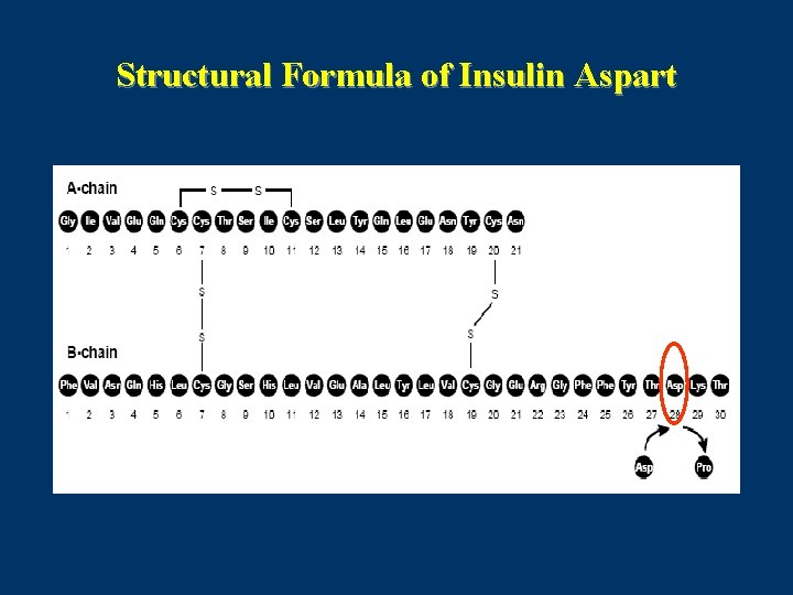 Structural Formula of Insulin Aspart 