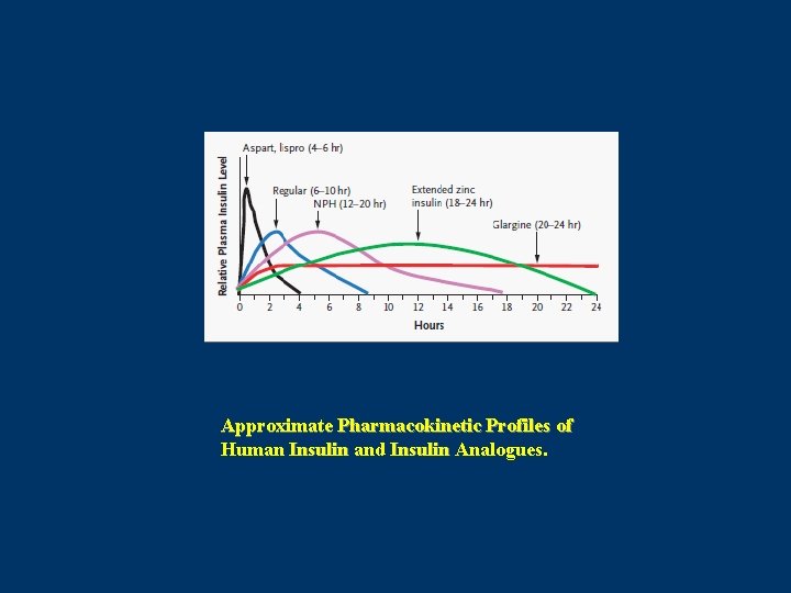 Approximate Pharmacokinetic Profiles of Human Insulin and Insulin Analogues. 