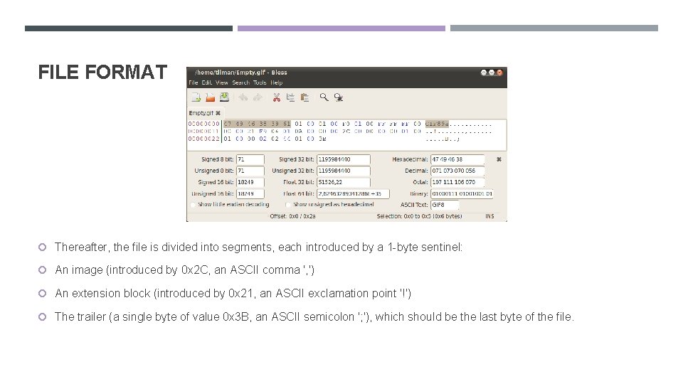 FILE FORMAT Thereafter, the file is divided into segments, each introduced by a 1