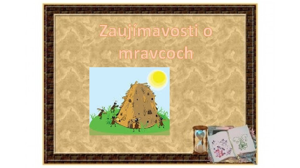 Zaujímavosti o mravcoch 