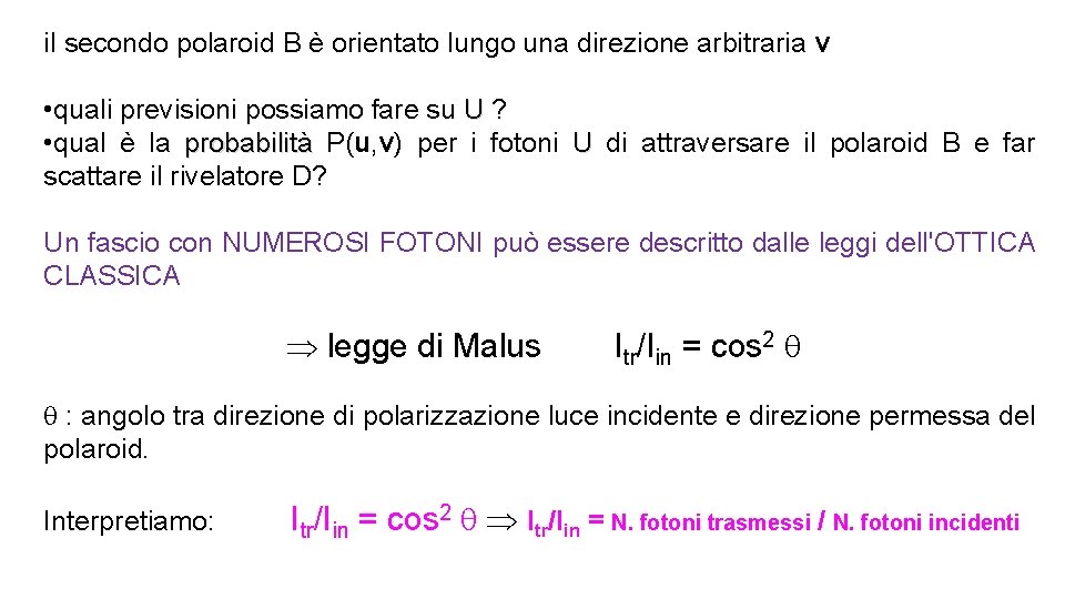 il secondo polaroid B è orientato lungo una direzione arbitraria v • quali previsioni
