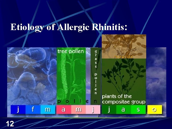 Etiology of Allergic Rhinitis: 12 