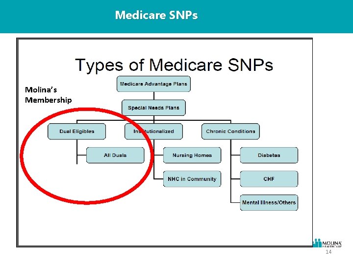 Medicare SNPs Molina’s Membership 14 