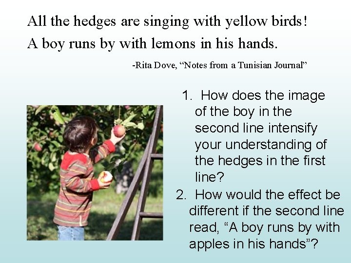 All the hedges are singing with yellow birds! A boy runs by with lemons