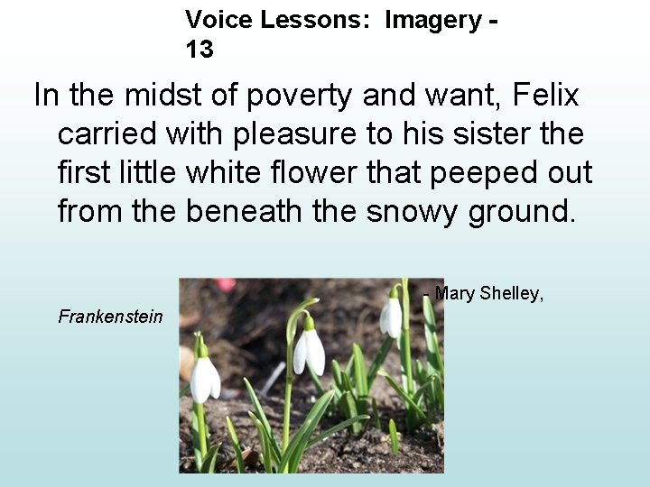 Voice Lessons: Imagery 13 In the midst of poverty and want, Felix carried with