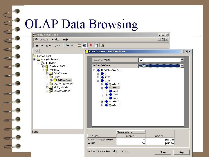OLAP Data Browsing 