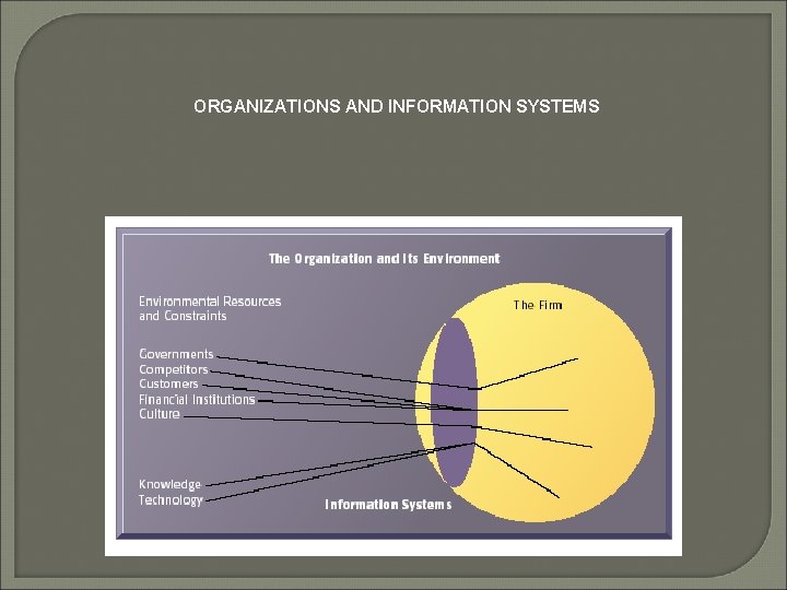 ORGANIZATIONS AND INFORMATION SYSTEMS 