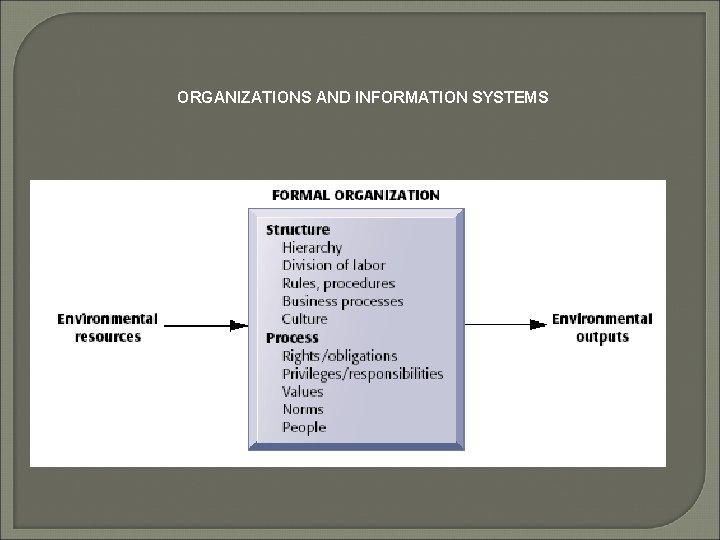 ORGANIZATIONS AND INFORMATION SYSTEMS 