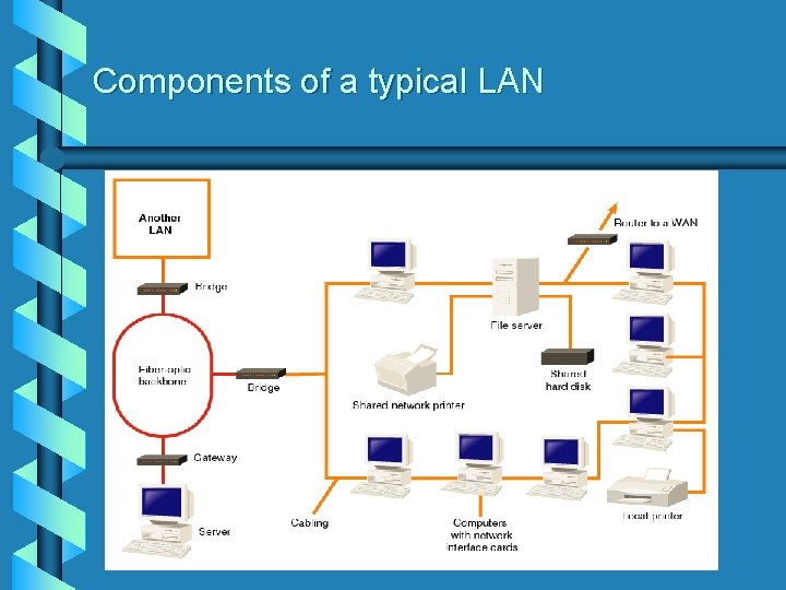 Components of a typical LAN 