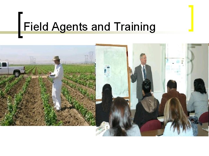 Field Agents and Training 