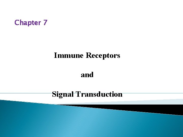 Chapter 7 Immune Receptors and Signal Transduction 
