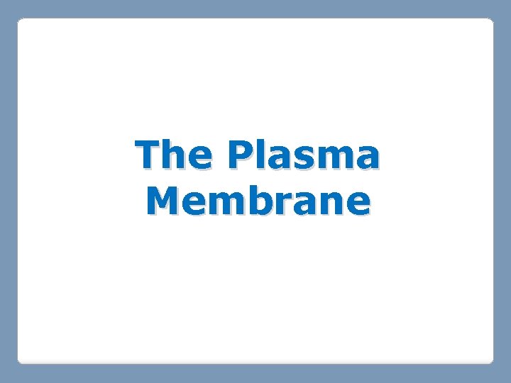 The Plasma Membrane The Plasma Membrane