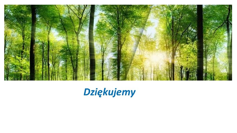 Dziękujemy 