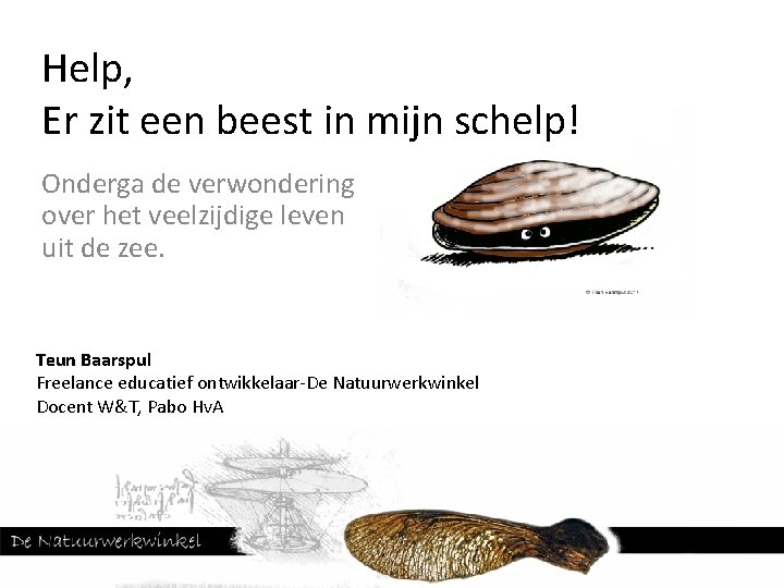 Help, Er zit een beest in mijn schelp! Onderga de verwondering over het veelzijdige