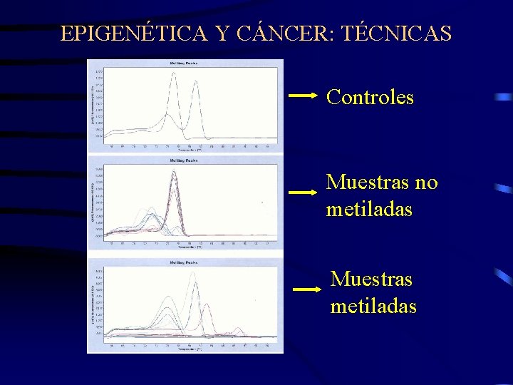 EPIGENÉTICA Y CÁNCER: TÉCNICAS Controles Muestras no metiladas Muestras metiladas 