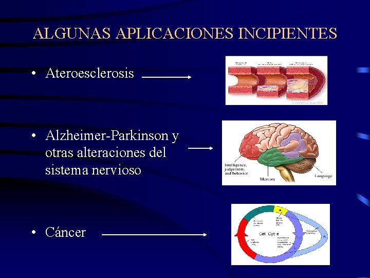 ALGUNAS APLICACIONES INCIPIENTES • Ateroesclerosis • Alzheimer-Parkinson y otras alteraciones del sistema nervioso •