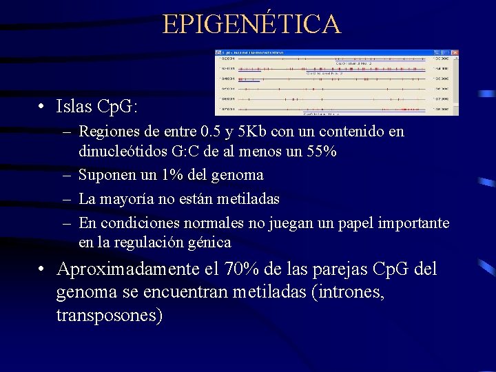 EPIGENÉTICA • Islas Cp. G: – Regiones de entre 0. 5 y 5 Kb