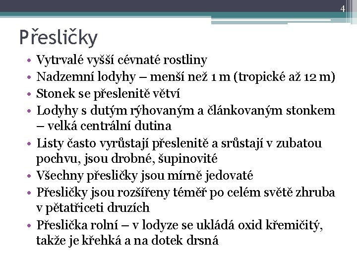 4 Přesličky • • Vytrvalé vyšší cévnaté rostliny Nadzemní lodyhy – menší než 1