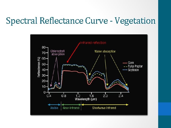 Spectral Reflectance Curve - Vegetation Infrared reflection 