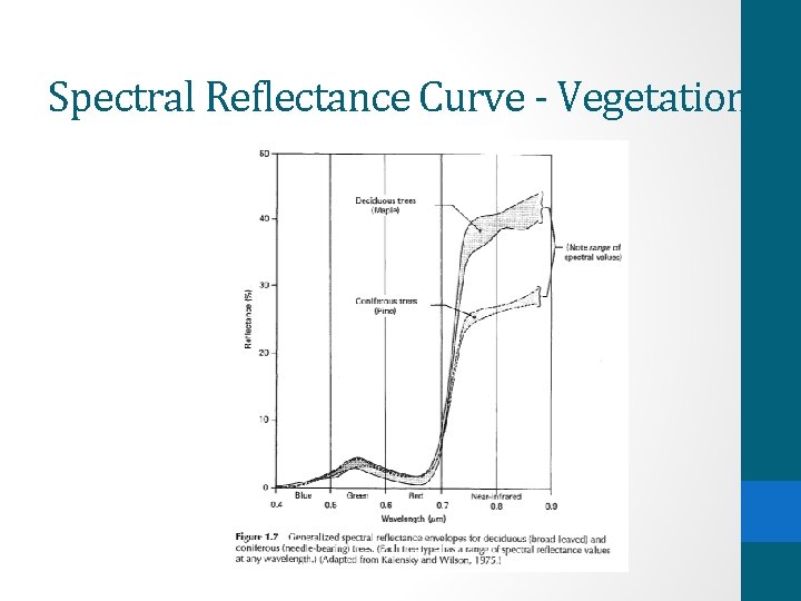 Spectral Reflectance Curve - Vegetation 