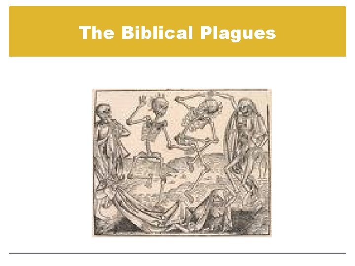 The Biblical Plagues 
