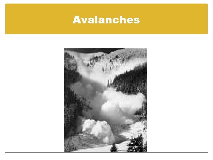 Avalanches 