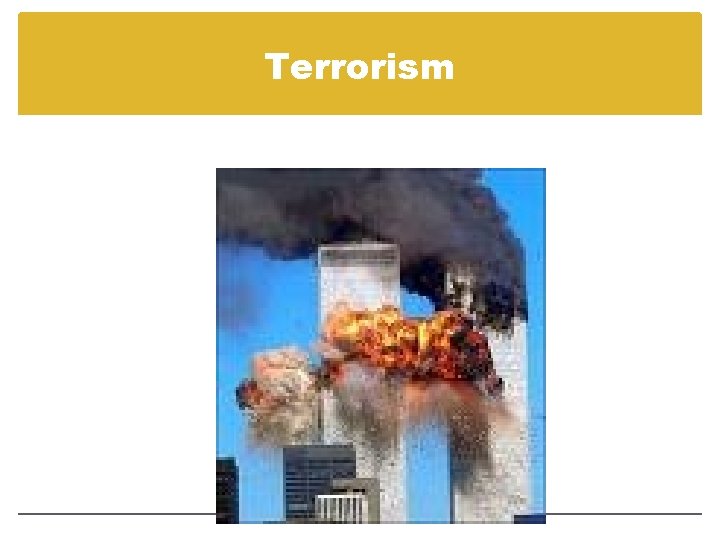 Terrorism 