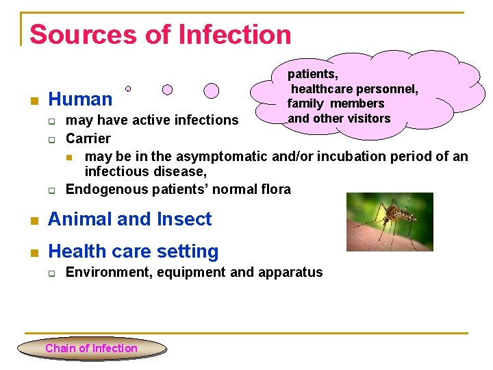 Sources of Infection n Human q q q may have active infections Carrier n