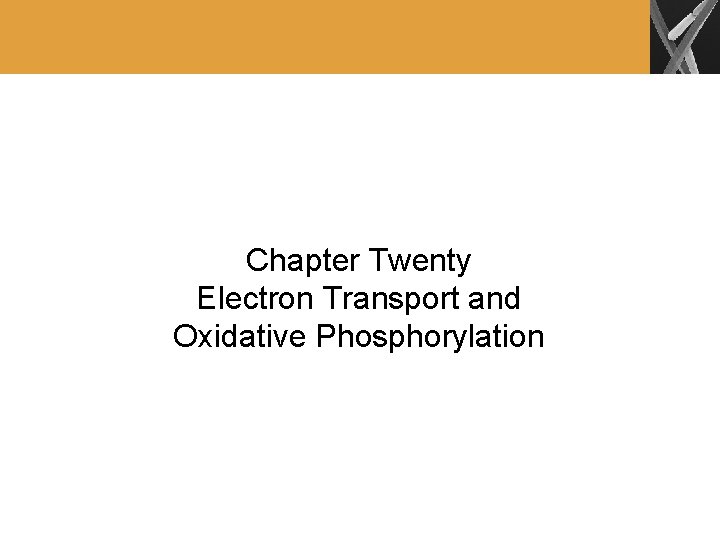 Chapter Twenty Electron Transport and Oxidative Phosphorylation 