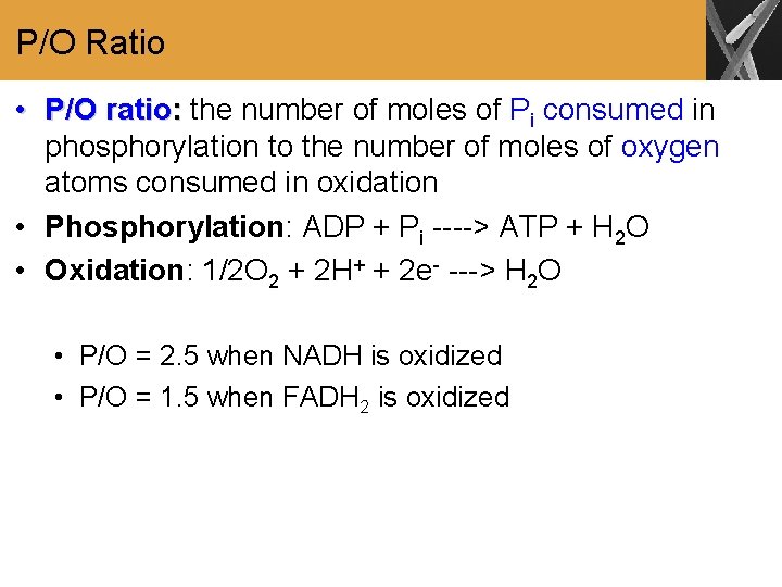 P/O Ratio • P/O ratio: the number of moles of Pi consumed in phosphorylation