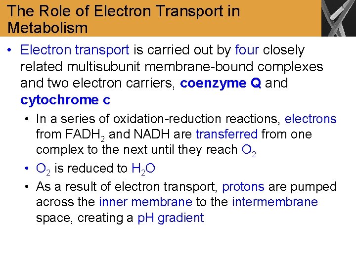 The Role of Electron Transport in Metabolism • Electron transport is carried out by