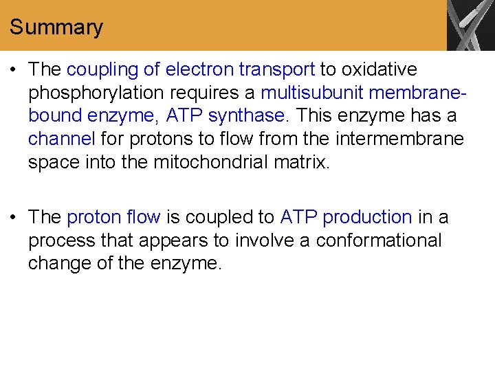 Summary • The coupling of electron transport to oxidative phosphorylation requires a multisubunit membranebound