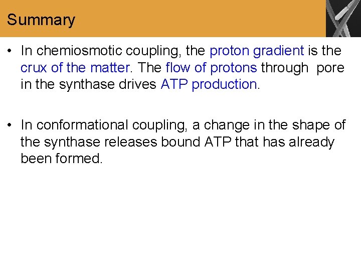 Summary • In chemiosmotic coupling, the proton gradient is the crux of the matter.