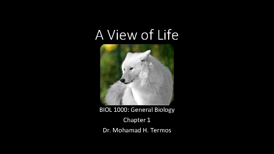 A View of Life BIOL 1000: General Biology Chapter 1 Dr. Mohamad H. Termos
