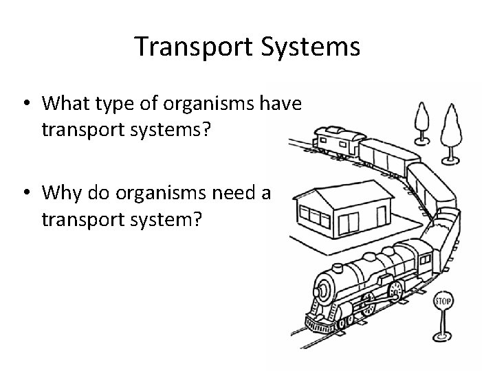 Transport Systems • What type of organisms have transport systems? • Why do organisms