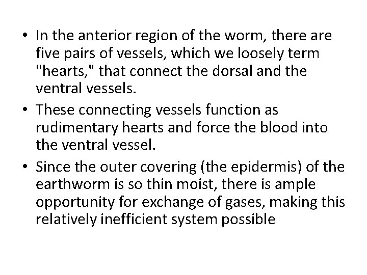  • In the anterior region of the worm, there are five pairs of