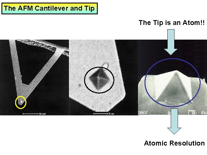 The AFM Cantilever and Tip The Tip is an Atom!! Tip Atomic Resolution 