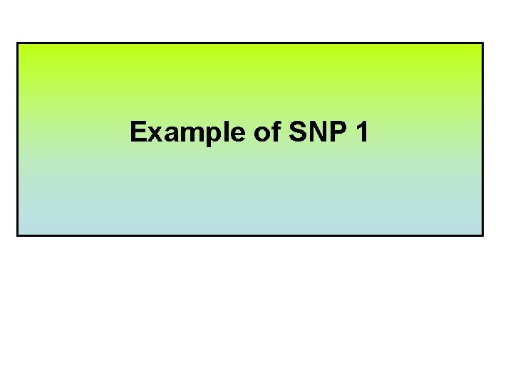 Example of SNP 1 