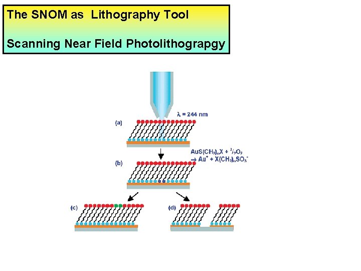 The SNOM as Lithography Tool Scanning Near Field Photolithograpgy 