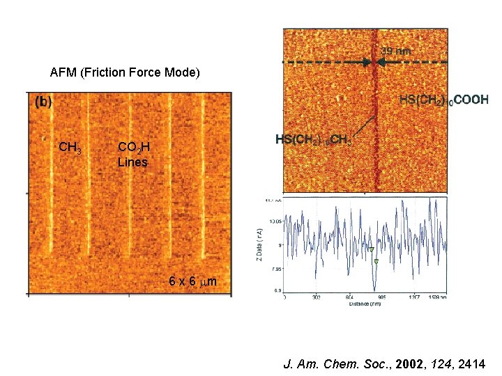 AFM (Friction Force Mode) CH 3 CO 2 H Lines 6 x 6 mm