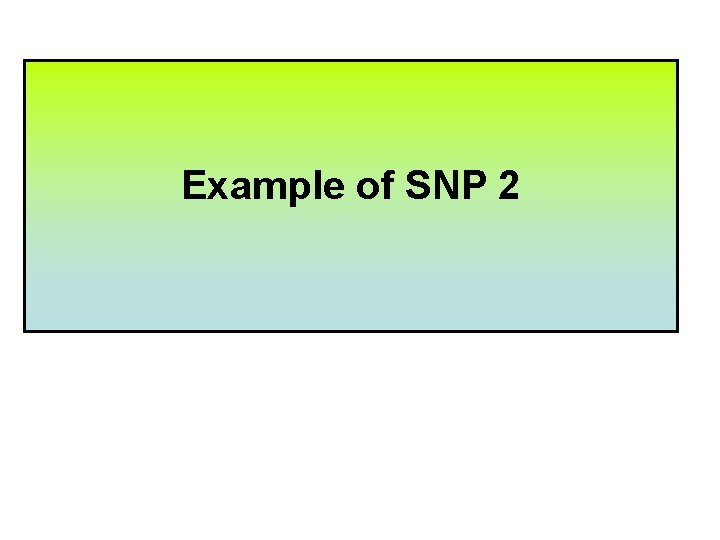 Example of SNP 2 